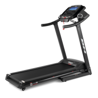 Беговая дорожка BH FITNESS PIONEER R2 TFT 